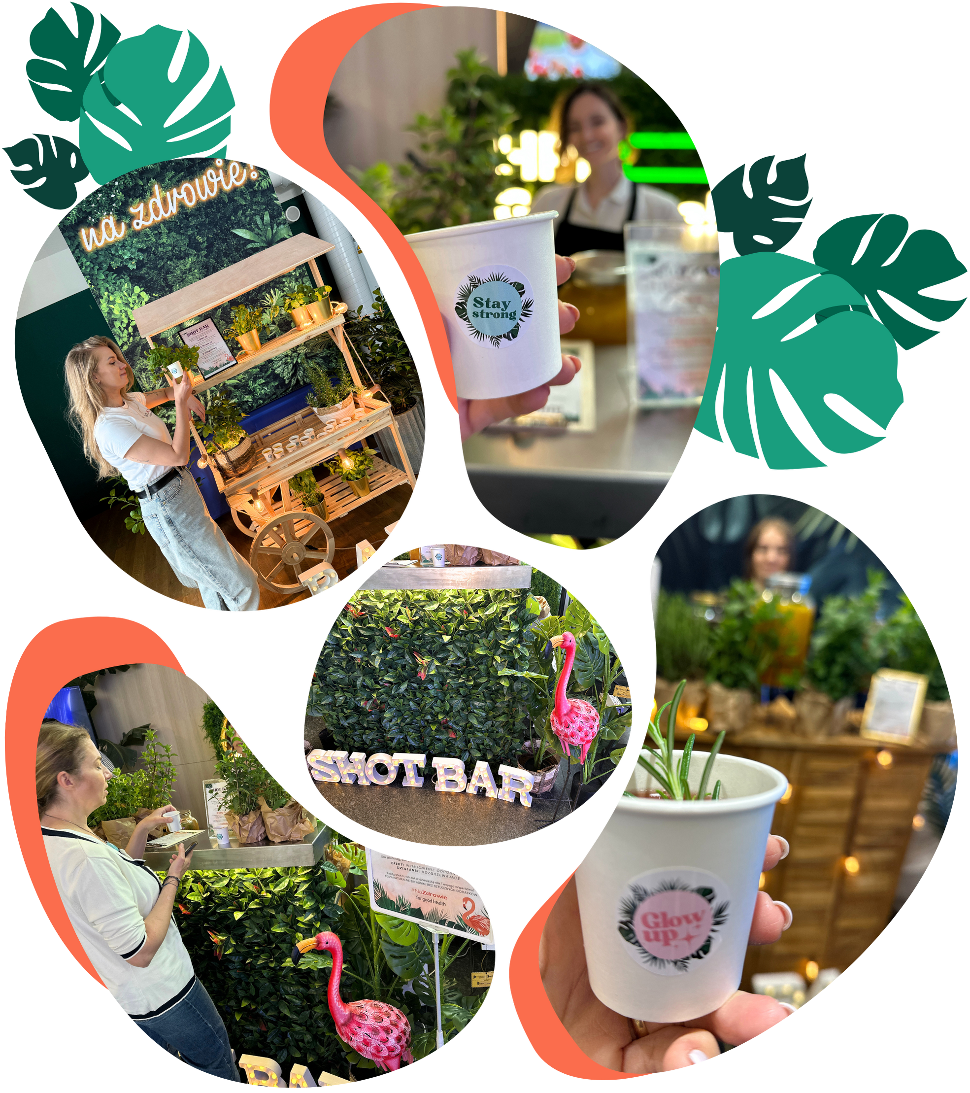 Zdrowie w kubku na eventy