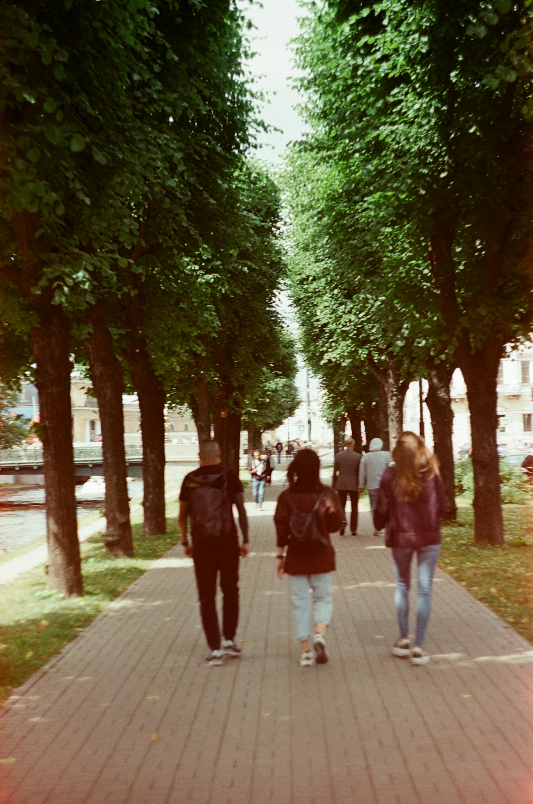 A serene park scene with people walking on a tree-lined path, evoking a sense of tranquility and leisure.